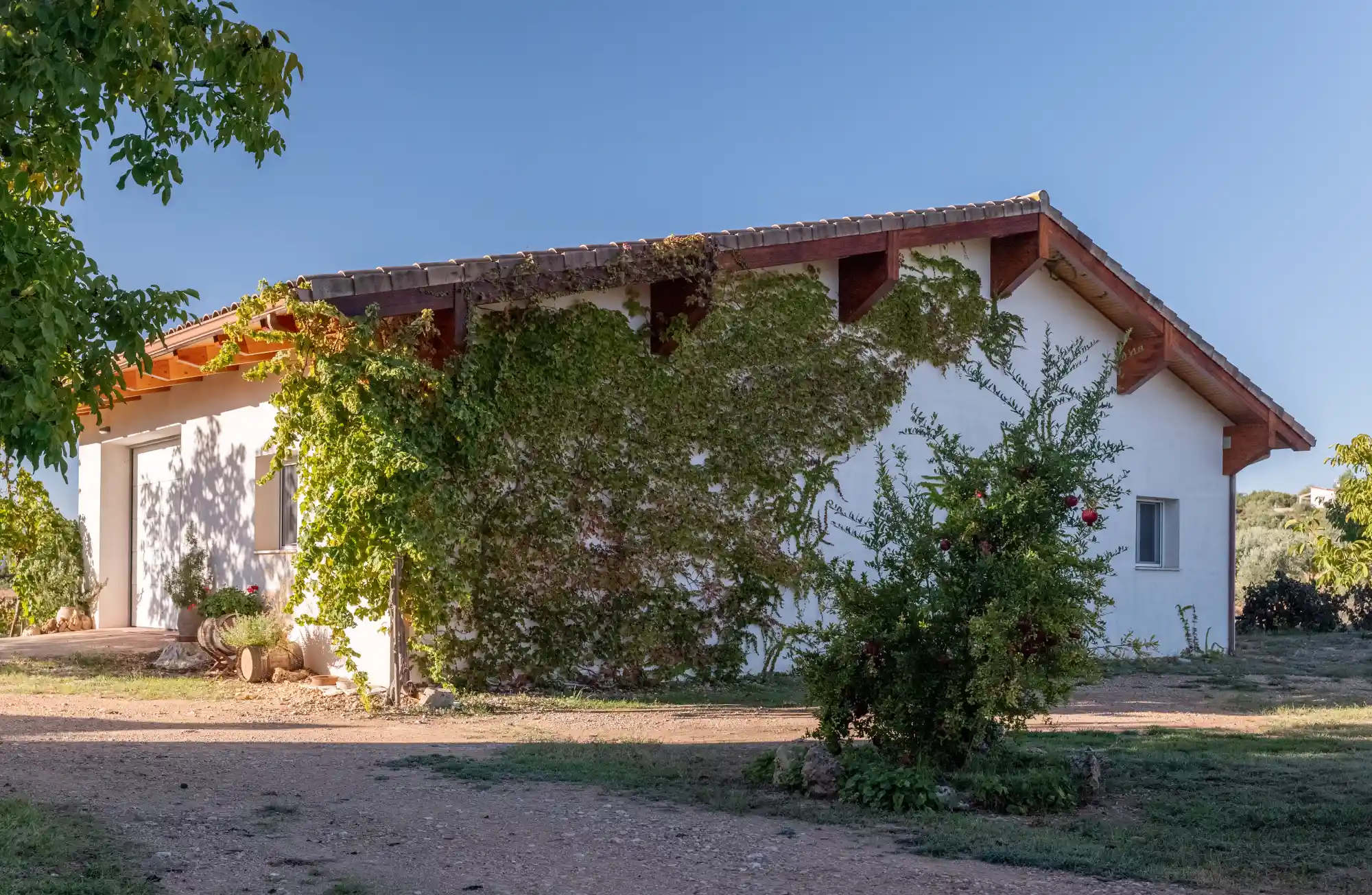bodega el cercao